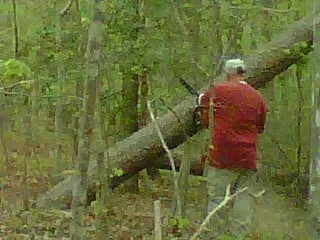 Professional lawn care service in Woodbridge, VA - Duane's Tree Removal Service