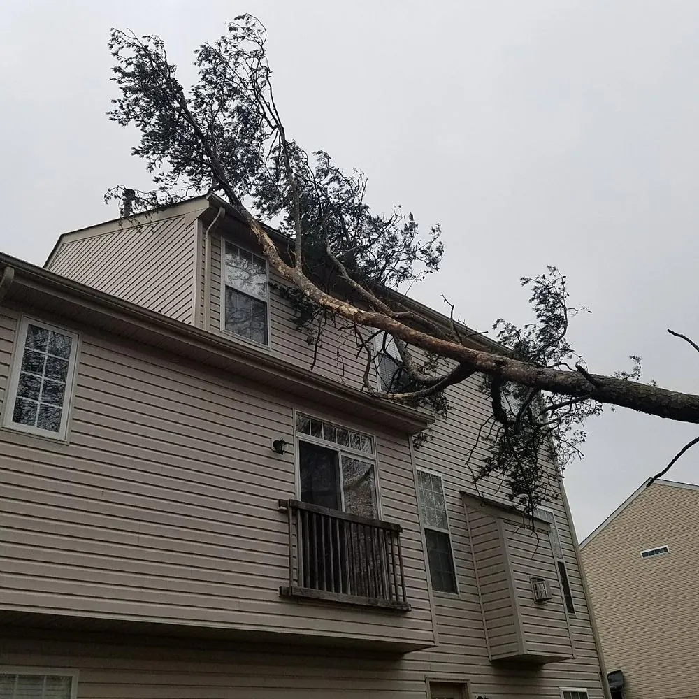 Trusted residential landscaping in Woodbridge, VA - Duane's Tree Removal Service