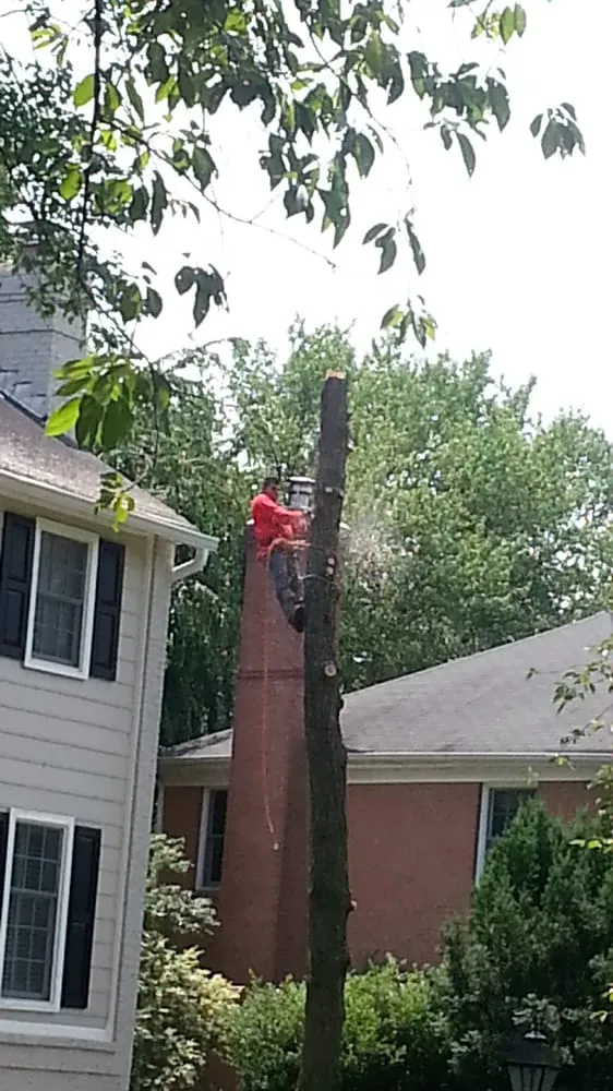 Custom outdoor landscaping near you in Woodbridge, VA by Duane's Tree Removal Service