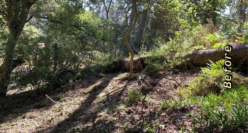 Top-rated lawn mowing service for outdoor upgrades in SALINAS, CA by Duarte General Cleaning Services