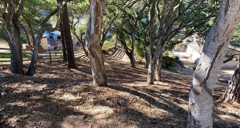 Affordable garden landscaping in SALINAS, CA by Duarte General Cleaning Services