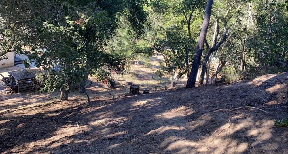 Affordable garden landscaping for year-round maintenance in SALINAS, CA by Duarte General Cleaning Services