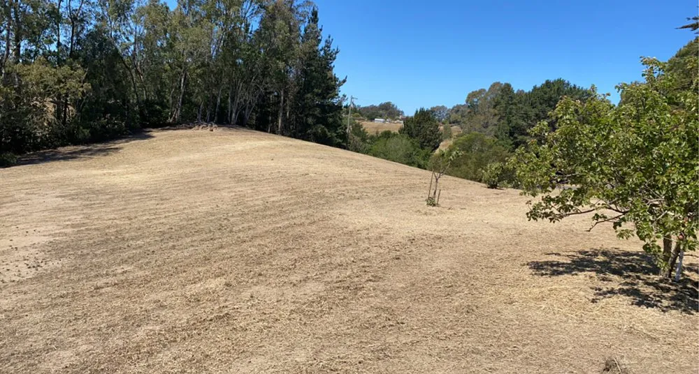 Top-rated lawn mowing service for year-round maintenance in SALINAS, CA by Duarte General Cleaning Services