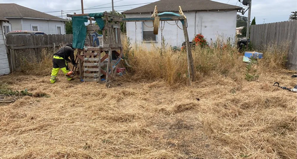 Affordable landscape installation with custom design across SALINAS, CA - Duarte General Cleaning Services