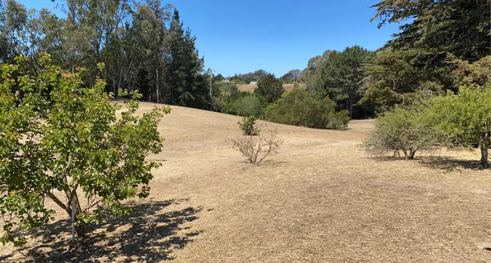 Affordable landscape design in SALINAS, CA by Duarte General Cleaning Services