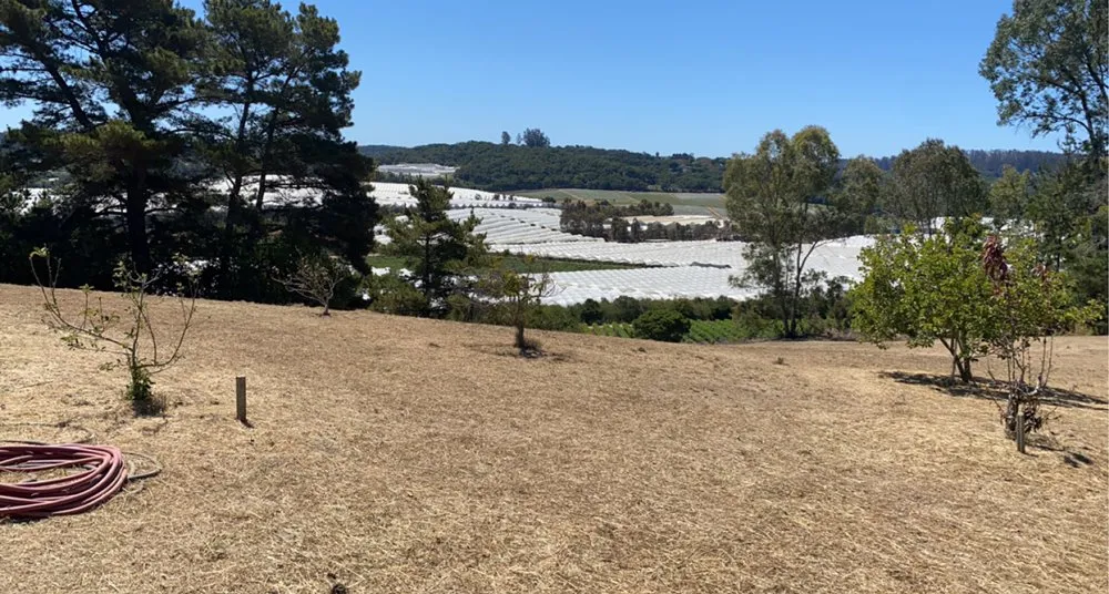 Professional lawn mowing service experts serving SALINAS, CA - Duarte General Cleaning Services