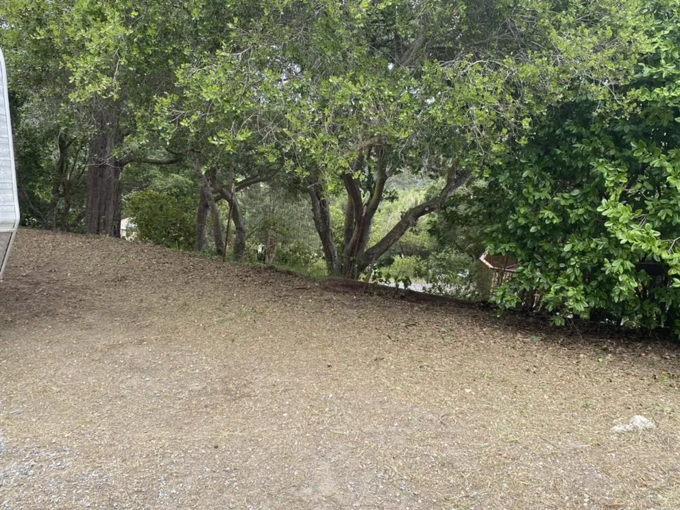 Local lawn mowing service in SALINAS, CA by Duarte General Cleaning Services