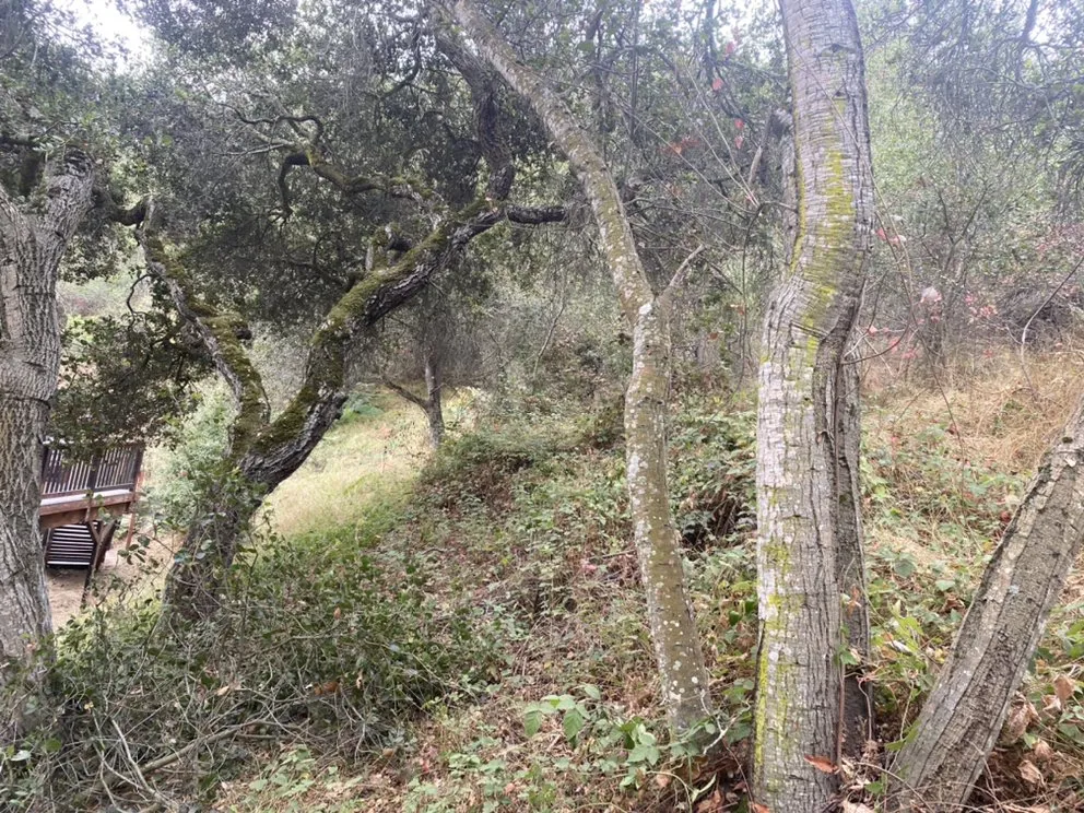 Custom lawn mowing service in SALINAS, CA - Duarte General Cleaning Services