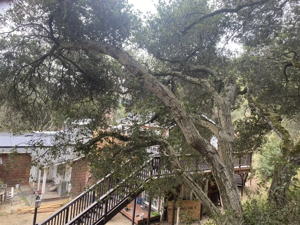 Professional residential landscaping in SALINAS, CA - Duarte General Cleaning Services