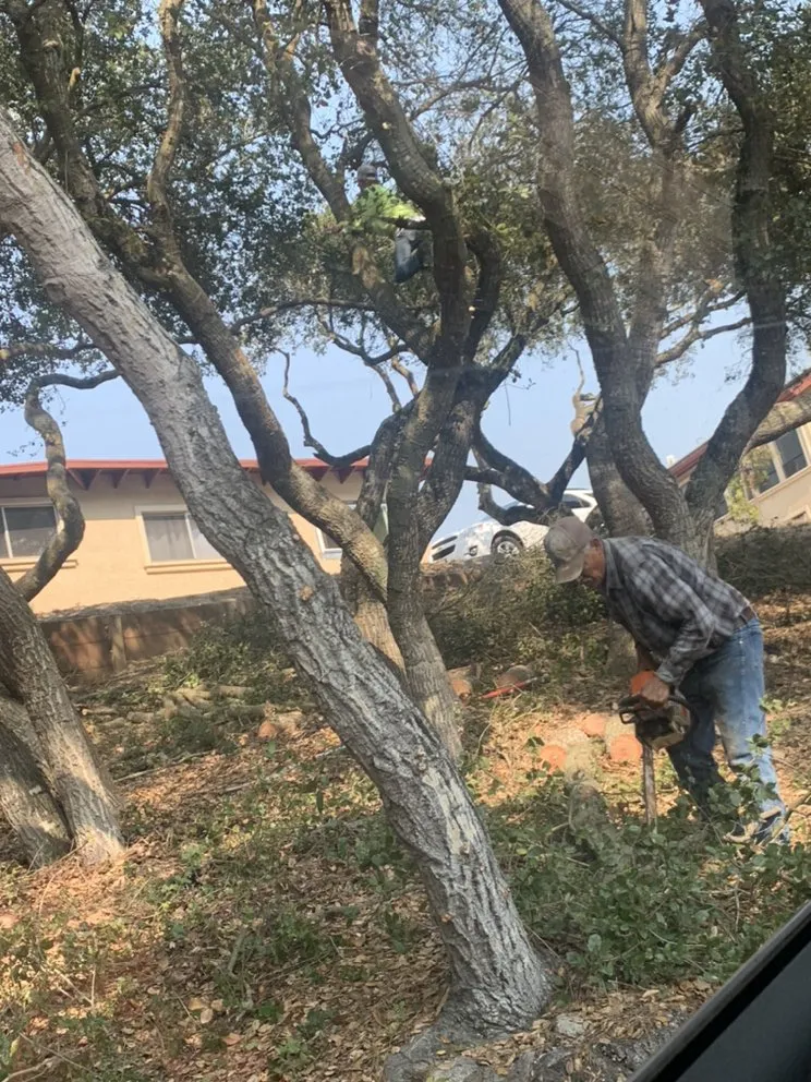 Local landscape design with custom design across SALINAS, CA - Duarte General Cleaning Services