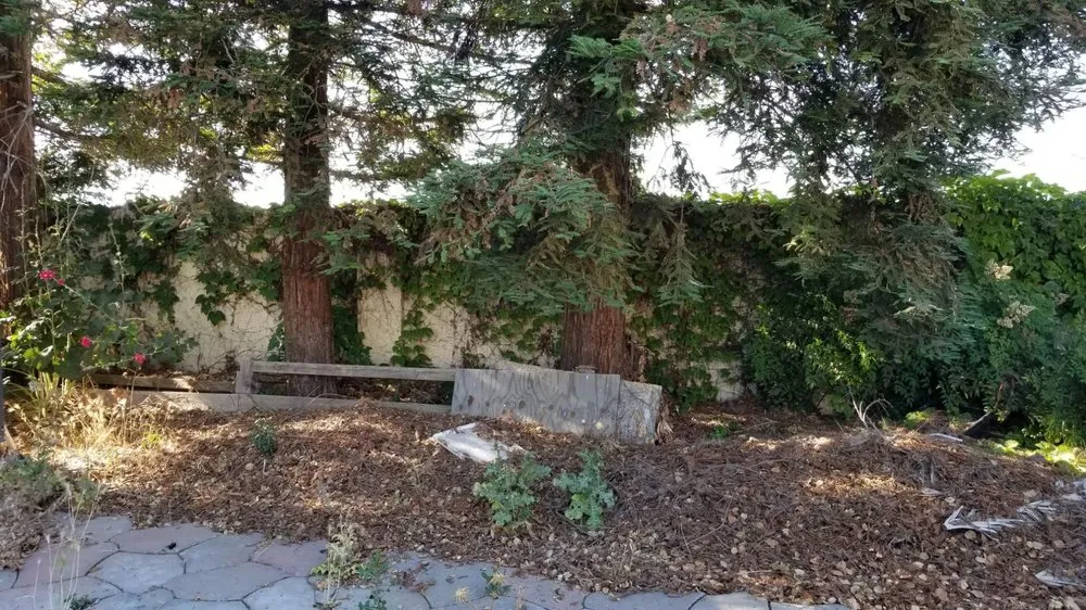 Custom lawn care service near you in SALINAS, CA by Duarte General Cleaning Services