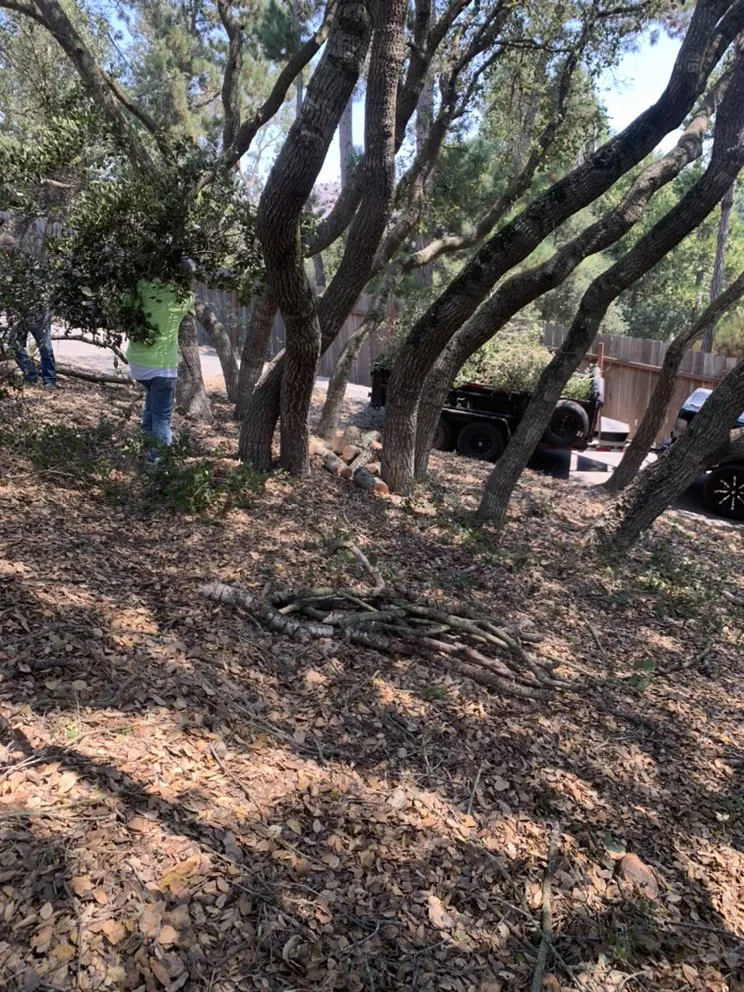 Reliable yard maintenance with custom design across SALINAS, CA - Duarte General Cleaning Services