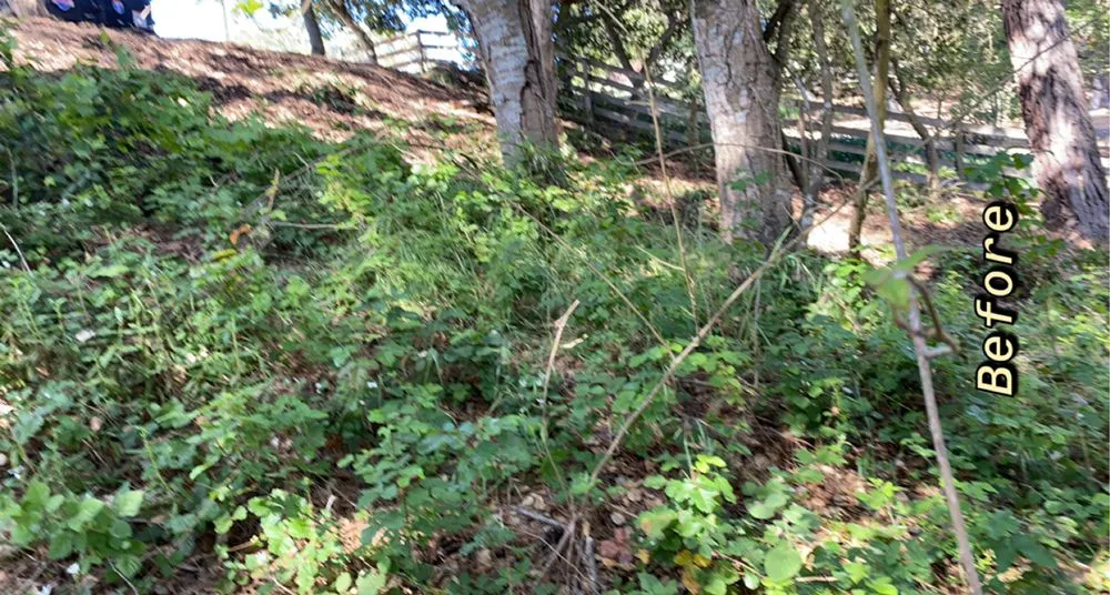 Trusted landscaping services near you in SALINAS, CA by Duarte General Cleaning Services