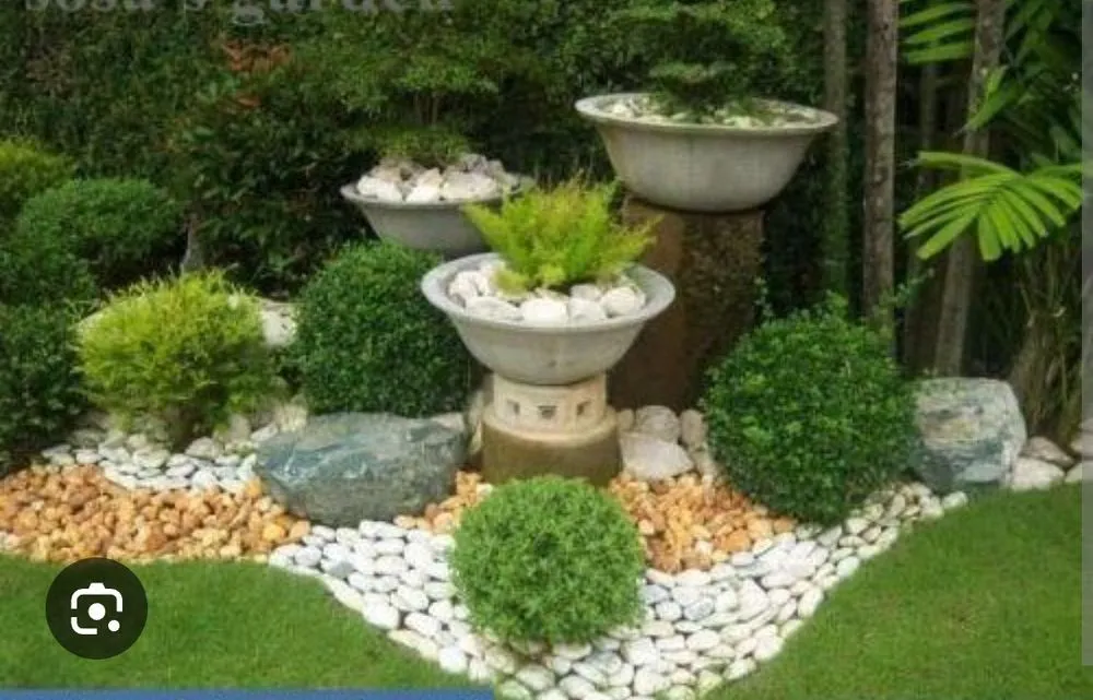 Custom yard maintenance experts serving Petaluma, CA - Duarte Landscaping