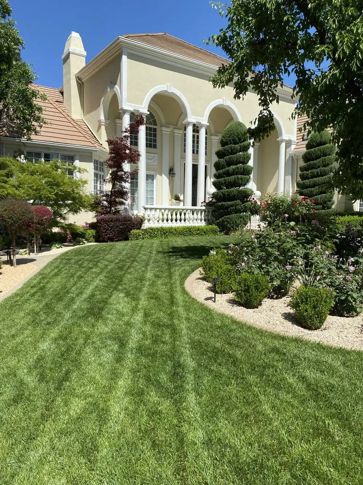 Reliable lawn mowing service experts serving Marysville, CA - Duartes Landscaping