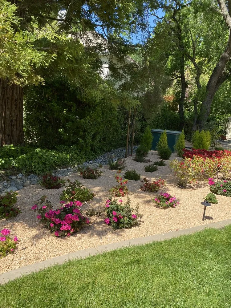 Professional yard maintenance experts serving Marysville, CA - Duartes Landscaping