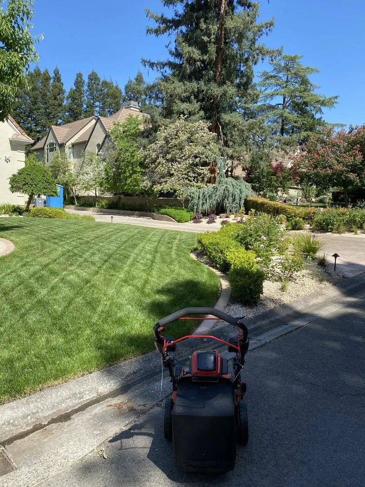 Affordable residential landscaping with custom design in Marysville, CA by Duartes Landscaping