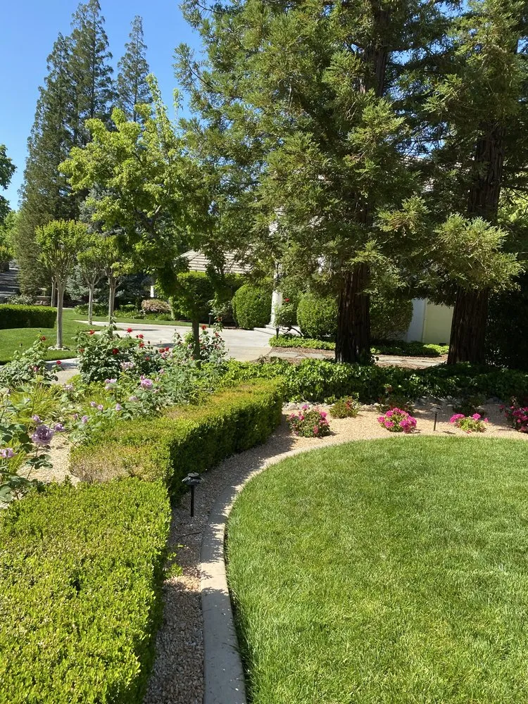 Affordable garden landscaping in Marysville, CA by Duartes Landscaping