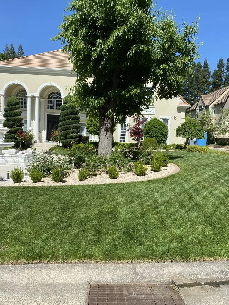 Top-rated garden landscaping for homes in Marysville, CA by Duartes Landscaping