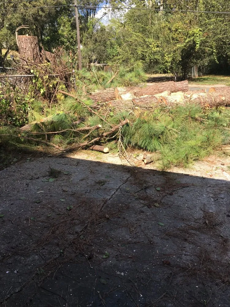 Expert landscape installation in Baton Rouge, LA by Dub Pray's Tree Care & Removal