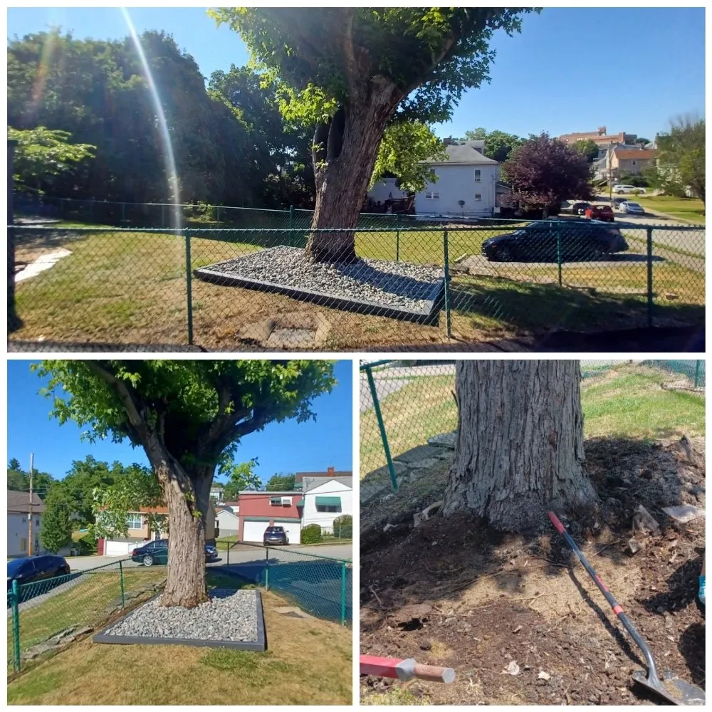 Professional landscaping services experts serving Brownsville, PA - Dub town Mows