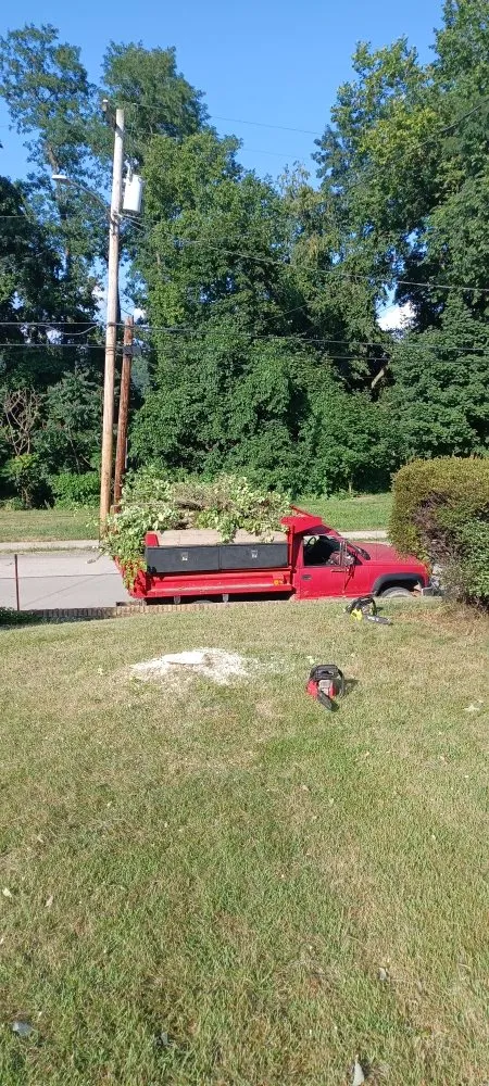 Local lawn care service in Brownsville, PA by Dub town Mows