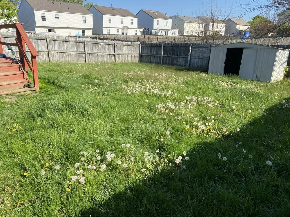 Professional yard cleanup service for year-round maintenance in Columbus, OH by Dubbs Landscaping