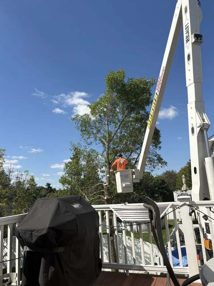 Trusted lawn care service for beautiful yards across Manchester, NH - Dubois Tree Service