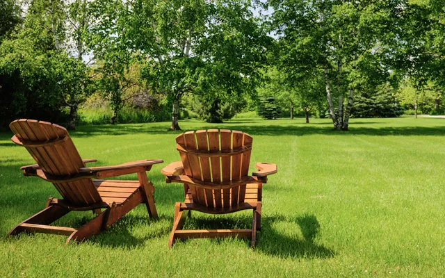 Affordable residential landscaping experts serving Manchester, NH - Dubois Tree Service