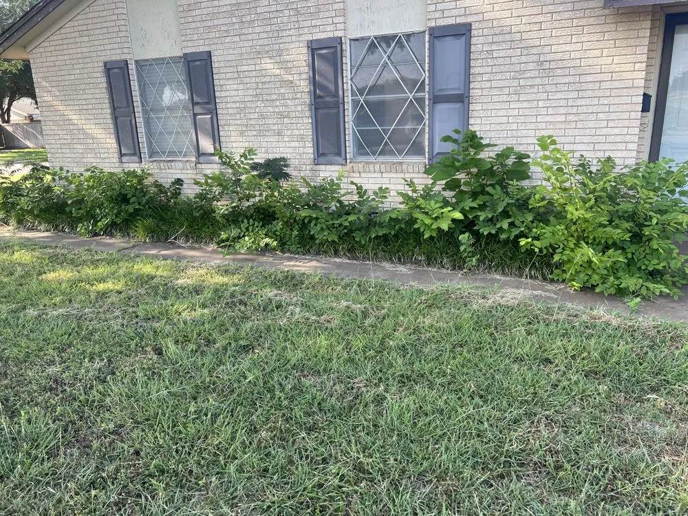 Top-rated outdoor landscaping experts serving Wichita Falls, TX - Dubon Landscaping