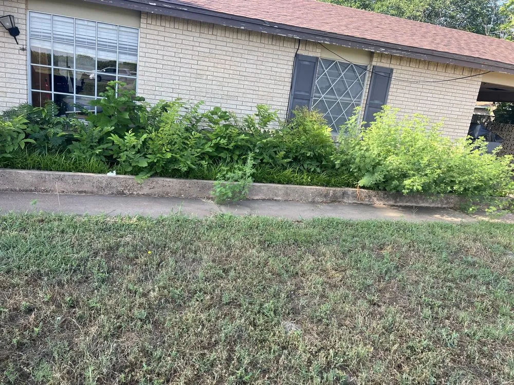 Expert garden landscaping with custom design across Wichita Falls, TX - Dubon Landscaping