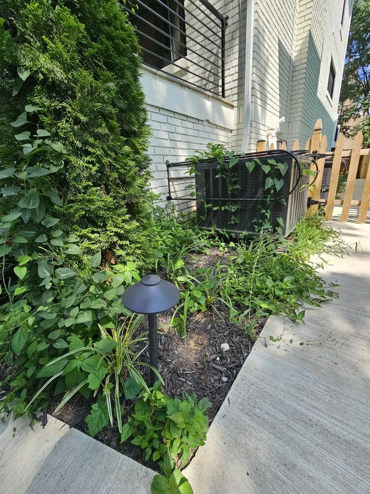 Affordable residential landscaping for outdoor upgrades across Silver Spring, MD - Dubon’s Renovation