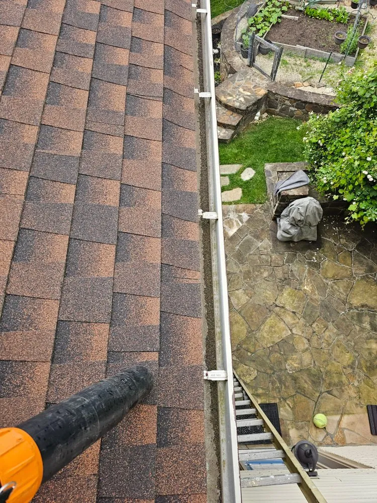 Trusted yard cleanup service for year-round maintenance across Silver Spring, MD - Dubon’s Renovation