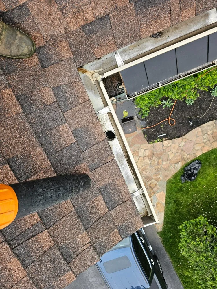 Local residential landscaping in Silver Spring, MD - Dubon’s Renovation