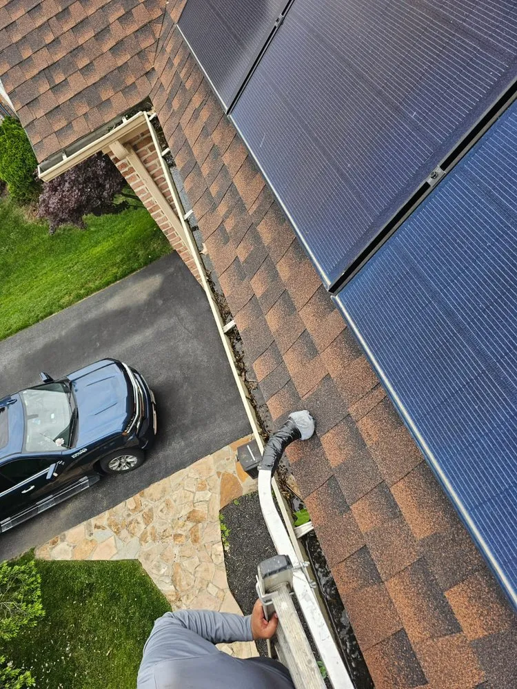 Trusted yard maintenance in Silver Spring, MD by Dubon’s Renovation