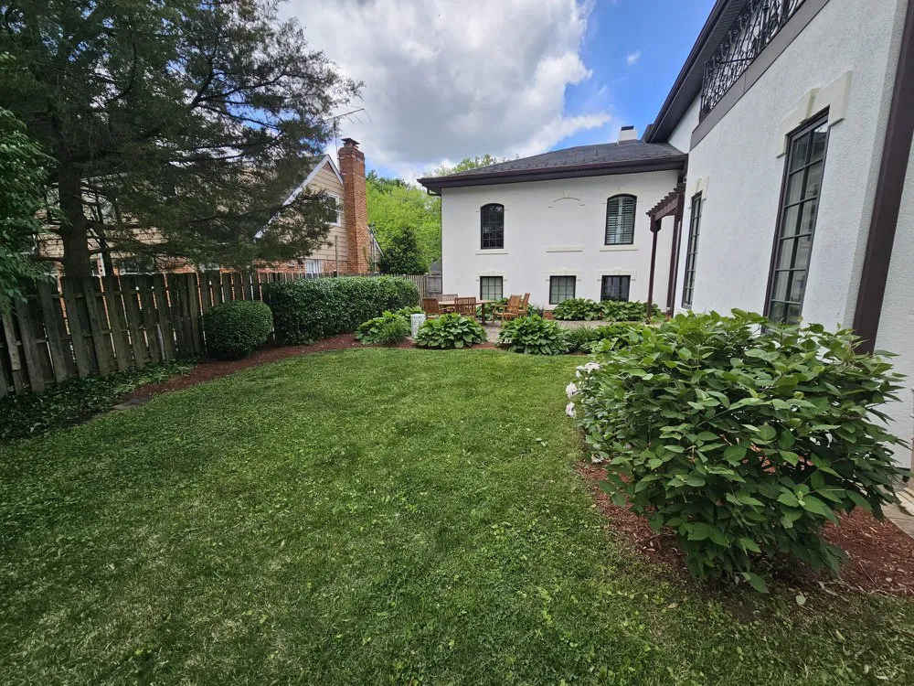 Professional yard maintenance for year-round maintenance across Silver Spring, MD - Dubon’s Renovation