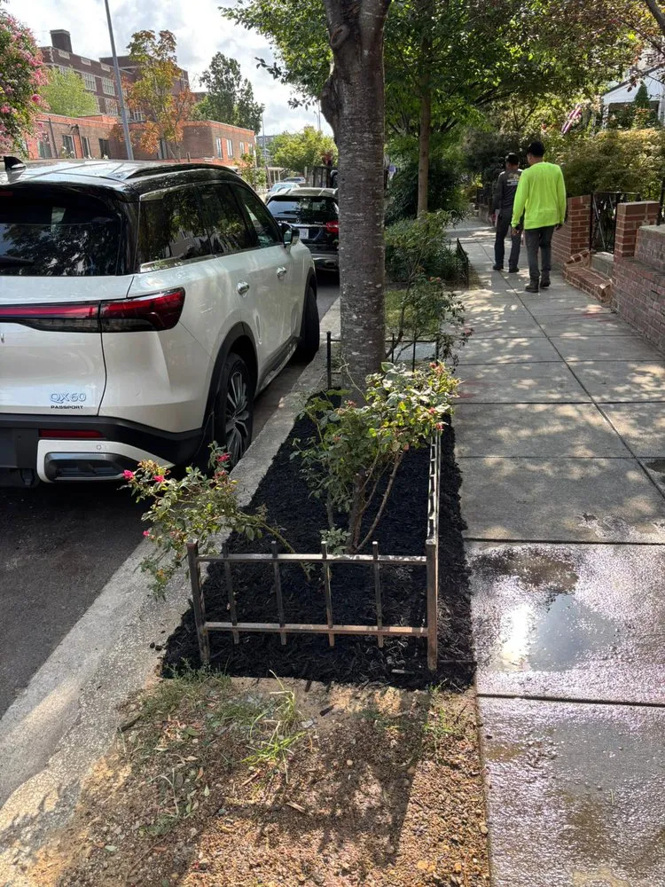 Trusted landscape design in Silver Spring, MD - Dubon’s Renovation