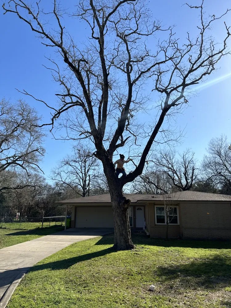 Expert yard cleanup service for outdoor upgrades in Magnolia, TX by DuBose Tree & Land Management