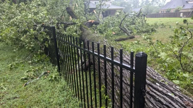 Professional landscape installation in Magnolia, TX - DuBose Tree & Land Management