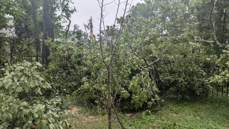 Local landscape installation in Magnolia, TX - DuBose Tree & Land Management