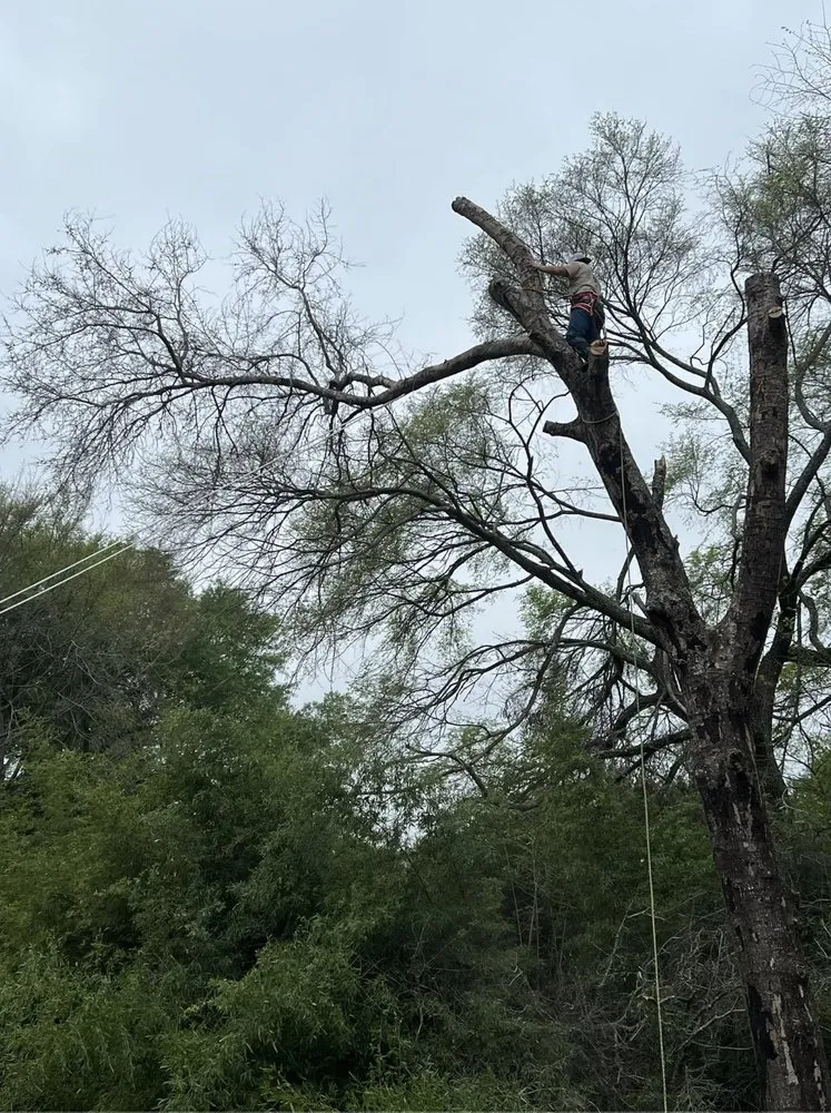 Professional landscape installation experts serving Magnolia, TX - DuBose Tree & Land Management
