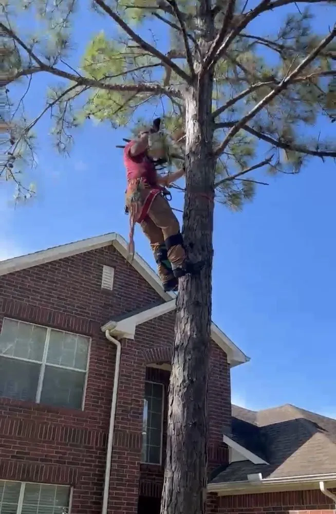 Local landscaping services for homes across Magnolia, TX - DuBose Tree & Land Management