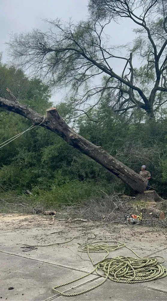 Expert landscaping services experts serving Magnolia, TX - DuBose Tree & Land Management