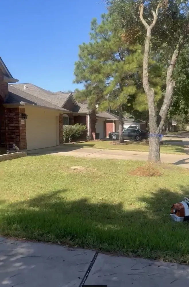 Professional yard cleanup service for homes in Magnolia, TX by DuBose Tree & Land Management