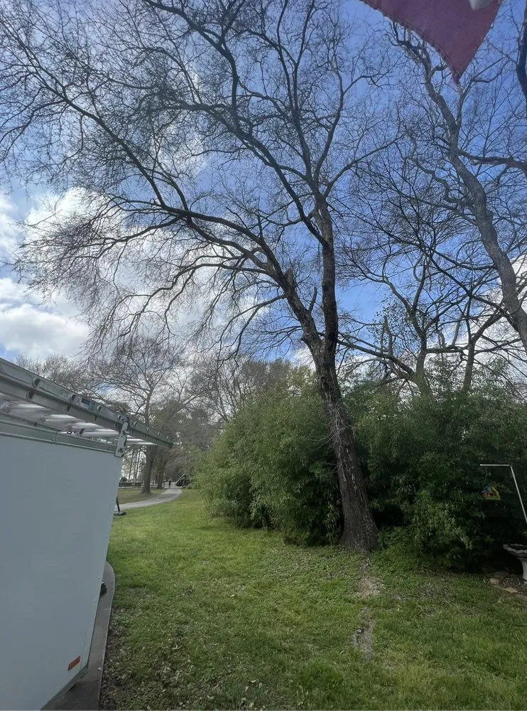 Professional lawn care service experts serving Magnolia, TX - DuBose Tree & Land Management