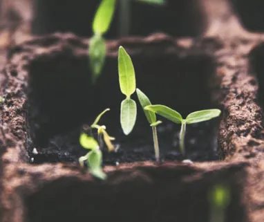 Affordable landscape installation experts serving Redan, GA - Duce Property Preservation