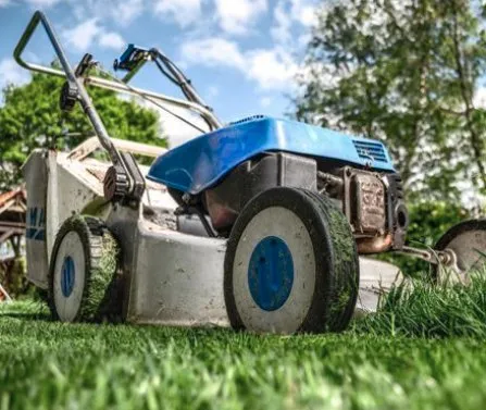 Top-rated garden landscaping experts serving Redan, GA - Duce Property Preservation