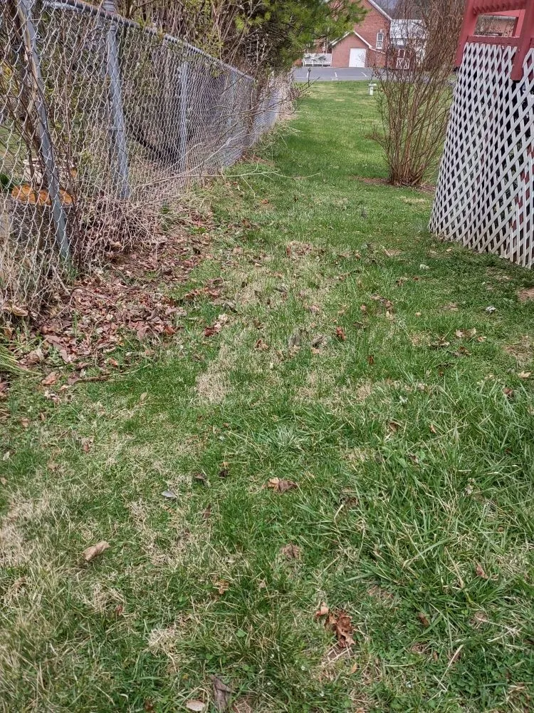 Professional lawn mowing service for year-round maintenance across Gerrardstown, WV - Ducey Do's
