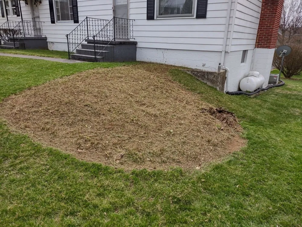 Top-rated landscaping services for outdoor upgrades in Gerrardstown, WV by Ducey Do's