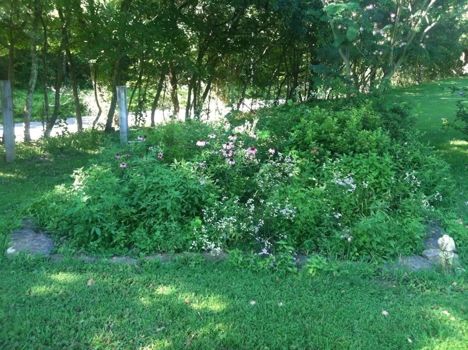 Trusted lawn mowing service in Cobden, IL - Duck Works Lawn Care